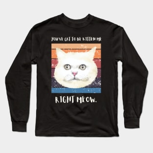 You've got to be kitten me right meow. Long Sleeve T-Shirt